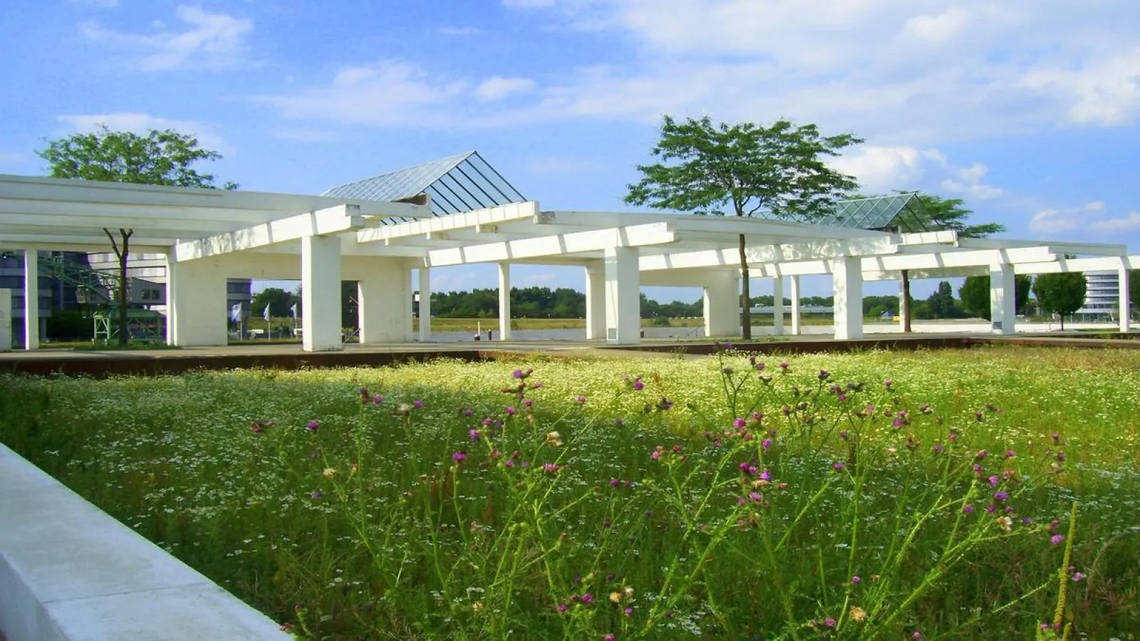 internar-dependente-quimico-urgente-campinas-agora