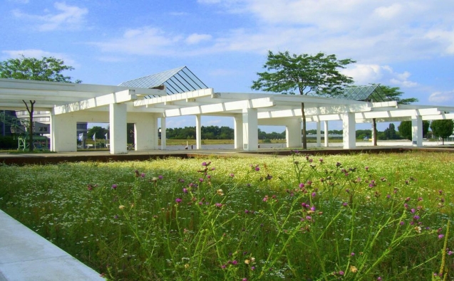 internar-dependente-quimico-urgente-campinas-agora