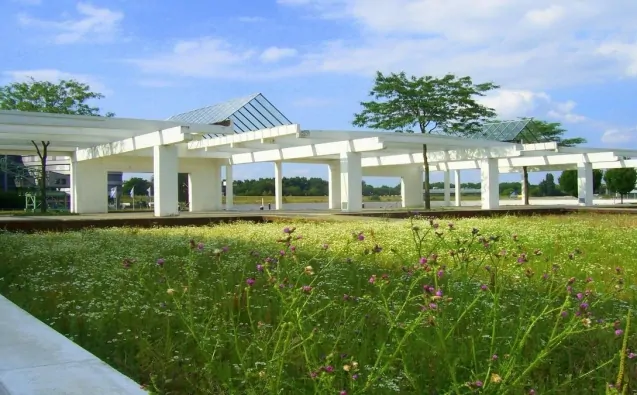 quanto-custa-internacao-clinica-de-recuperacao-campinas