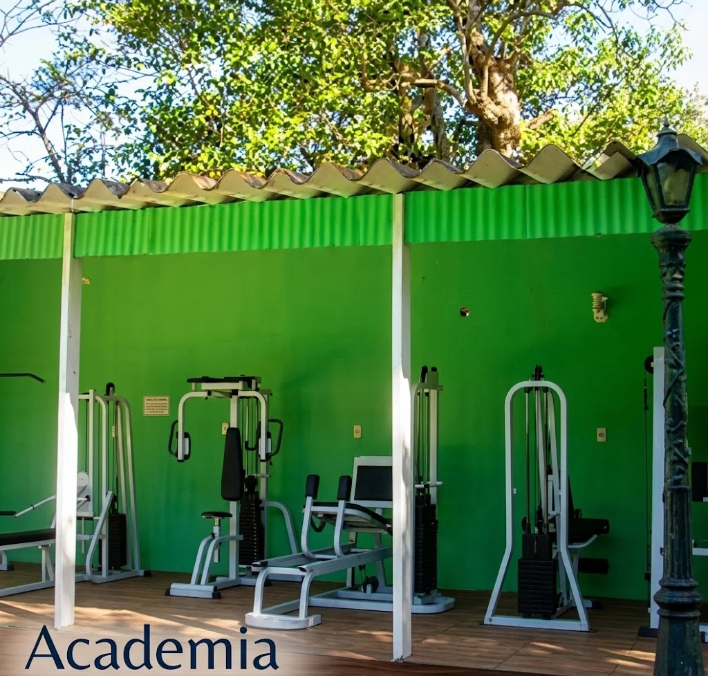 Academia
